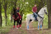 Конные прогулки в Ростове для взролых и детей,  верховая езда,  обучение,  фотосессии