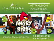 Аттракцион Angry Birds Live Ростов-на-Дону