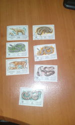 почтовые марки фауна ссср змеи и животные